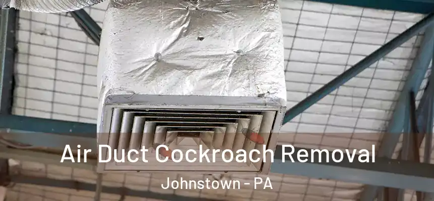  Air Duct Cockroach Removal Johnstown - PA