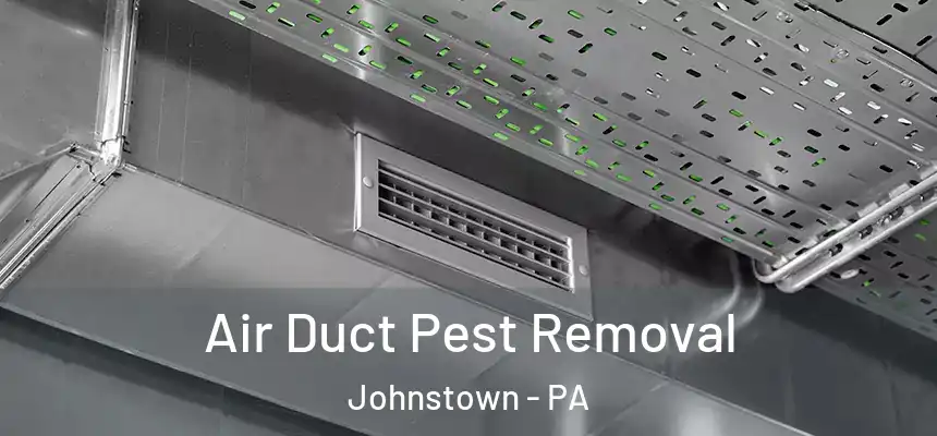 Air Duct Pest Removal Johnstown - PA