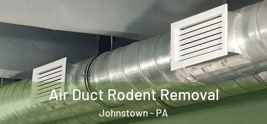 Air Duct Rodent Removal Johnstown - PA