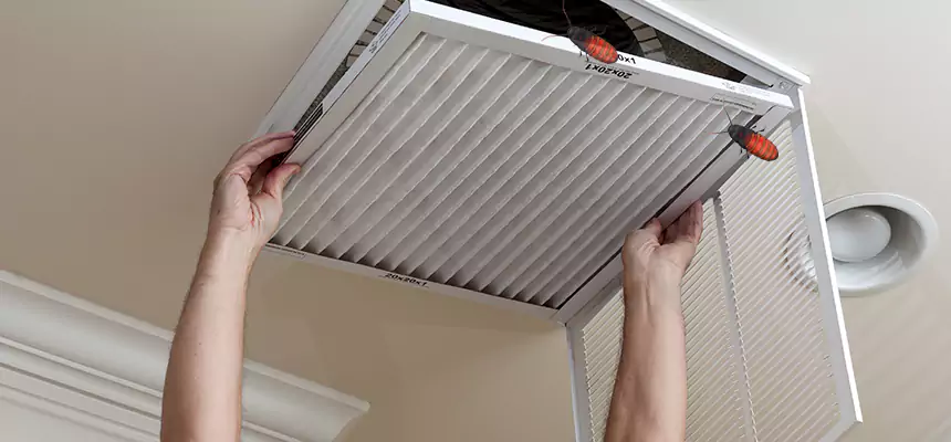 Preventive Cockroach-Proofing for Ducts in Johnstown