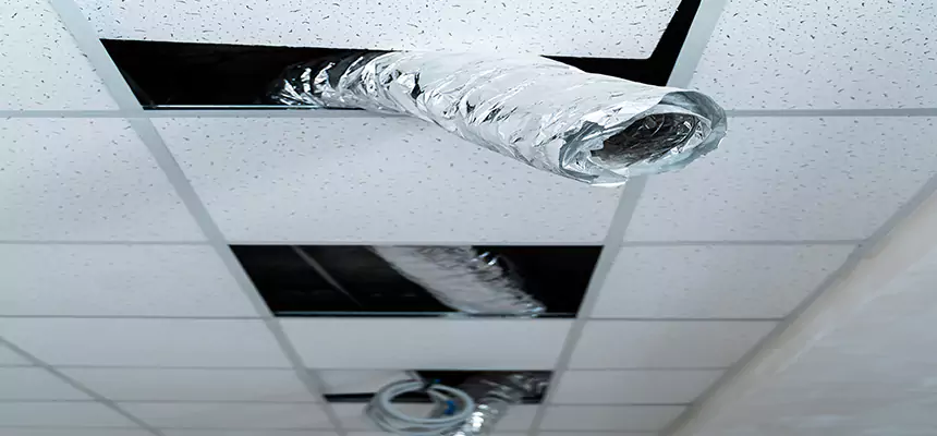 Affordable HVAC Sanitizing After Pest Removal in Johnstown