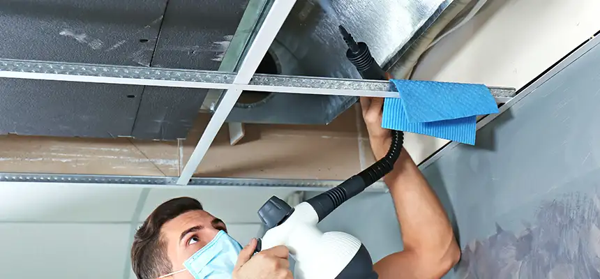 Our Air Duct Rodent Removal Services in Johnstown, PA