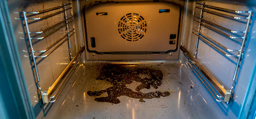 Our Dryer Vent Mold Cleaning Services in Johnstown, PA