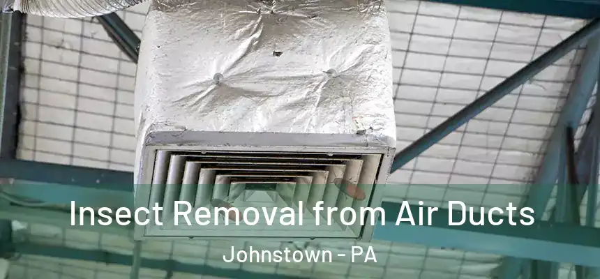 Insect Removal from Air Ducts Johnstown - PA