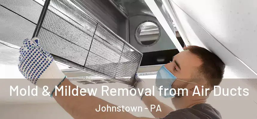 Mold & Mildew Removal from Air Ducts Johnstown - PA