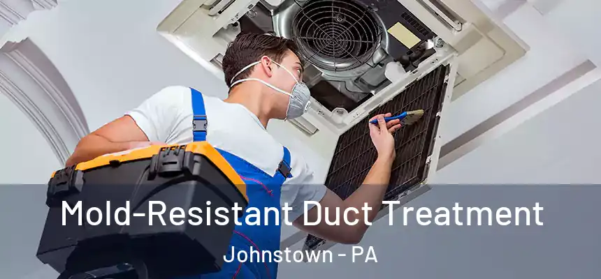  Mold-Resistant Duct Treatment Johnstown - PA