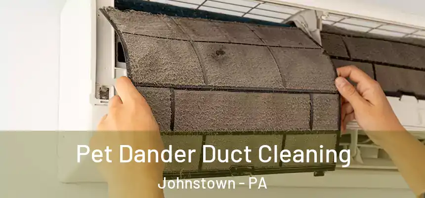 Pet Dander Duct Cleaning Johnstown - PA