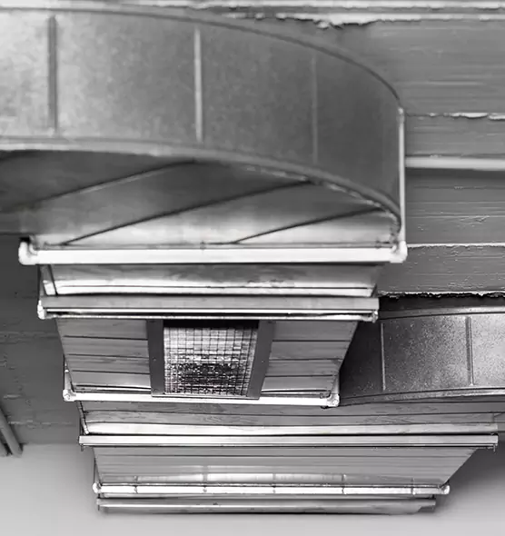 Professional Air Duct Pest Removal in Johnstown, PA